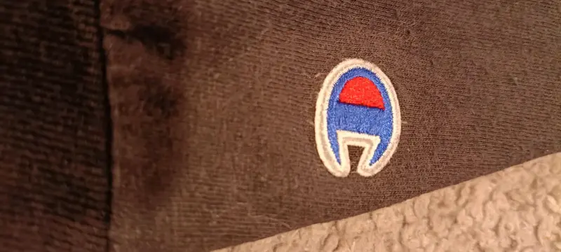 Polera manga larga Champion niño - 4