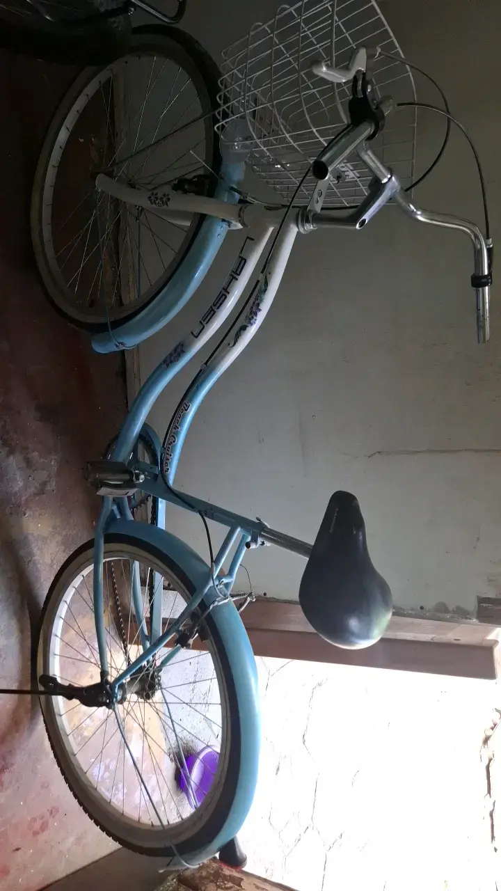 Bicicleta vintage azul con canasto - 1