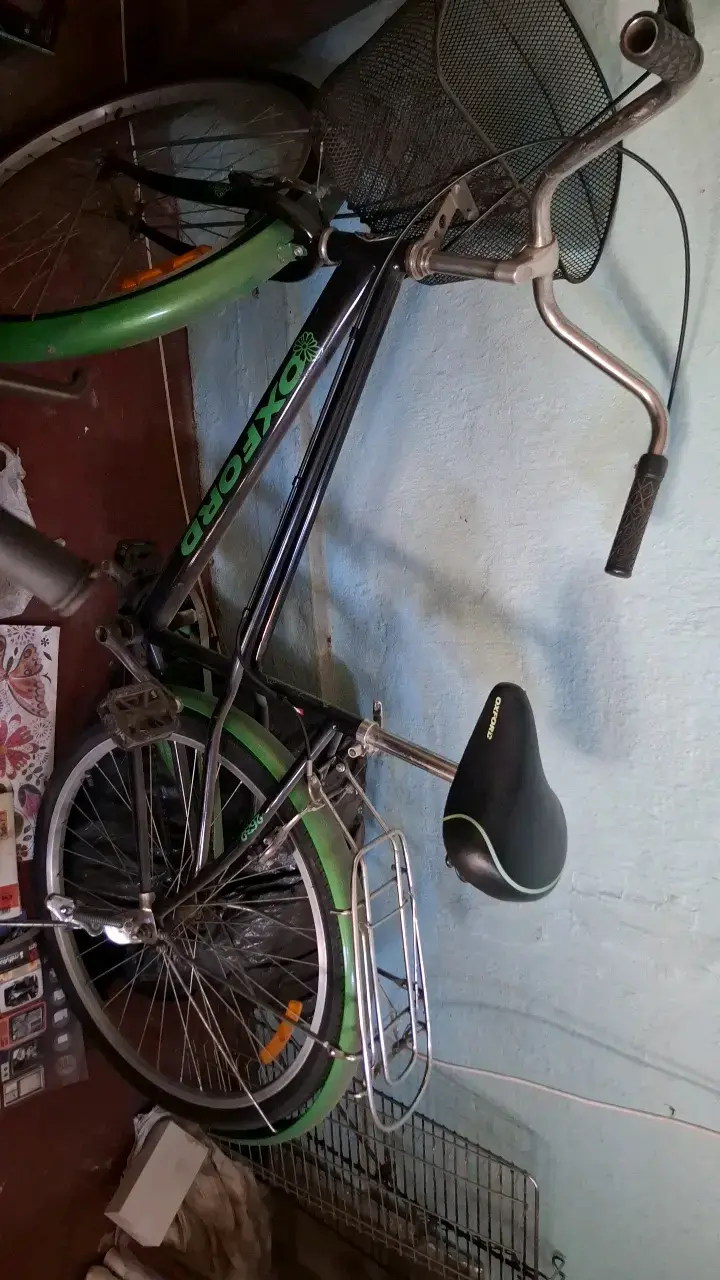Bicicleta Oxford con canasto y parrilla trasera - 1