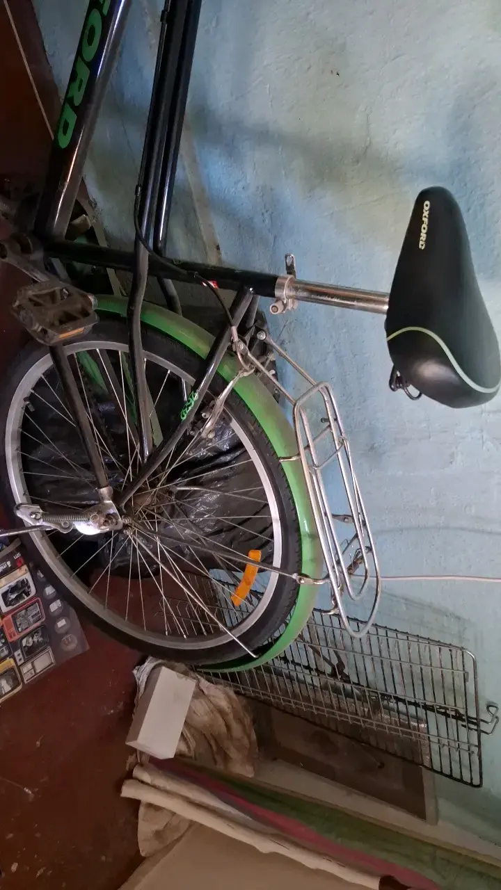Bicicleta Oxford con canasto y parrilla trasera - 2