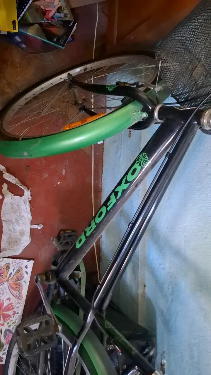 Bicicleta Oxford con canasto y parrilla trasera - 3