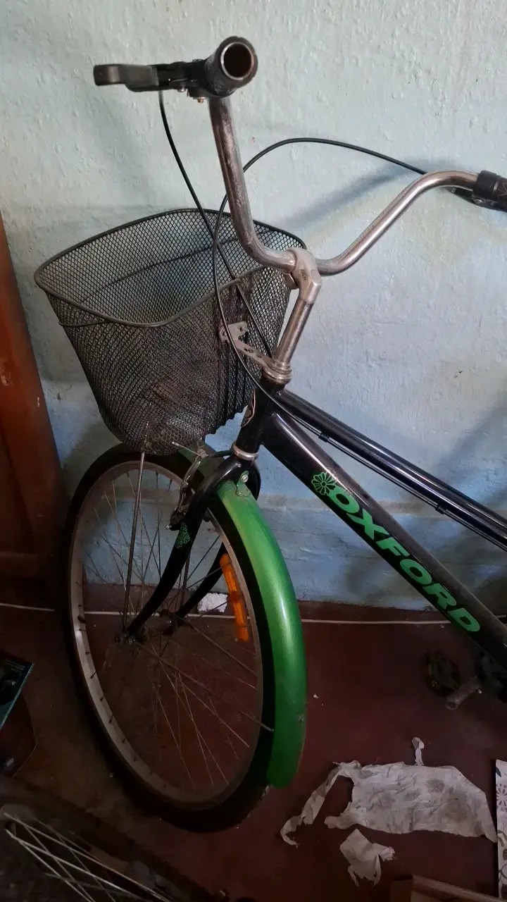 Bicicleta Oxford con canasto y parrilla trasera - 4