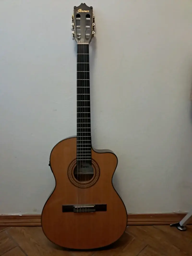 Guitarra Electroacustica - 1