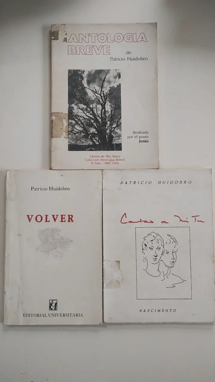 Lote de libros de Patricio Huidobro