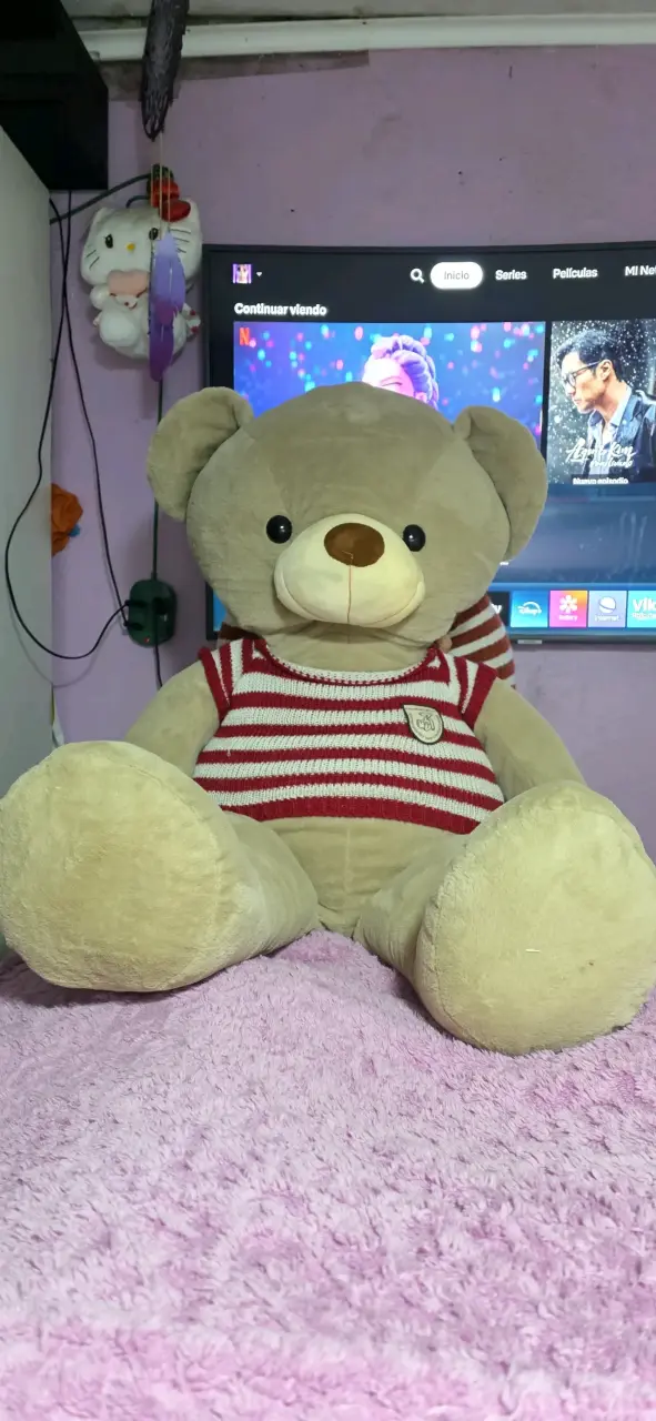 Osito de Peluche Grande con Suéter a Rayas - 1