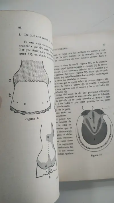 Libro 'La Equitación Secundaria' de José I. Lepe - miniatura 5