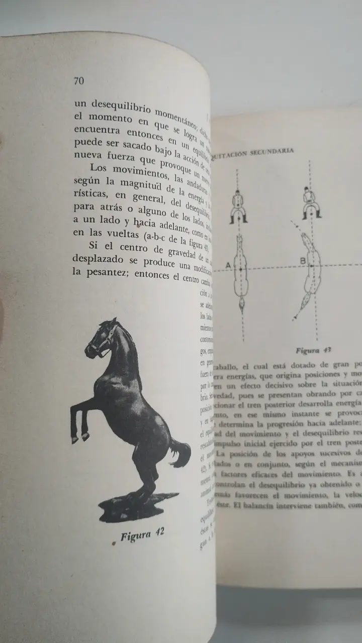 Libro 'La Equitación Secundaria' de José I. Lepe - 6