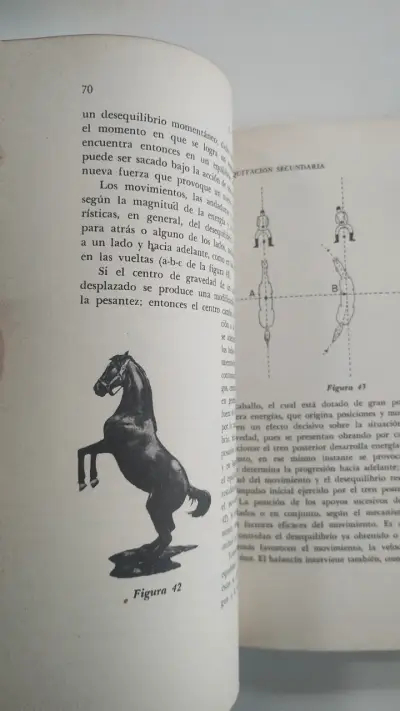 Libro 'La Equitación Secundaria' de José I. Lepe - miniatura 6