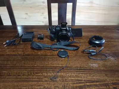 Panasonic Lumix FZ300(Video 4K, Lente Leica f/2.8 - miniatura 1