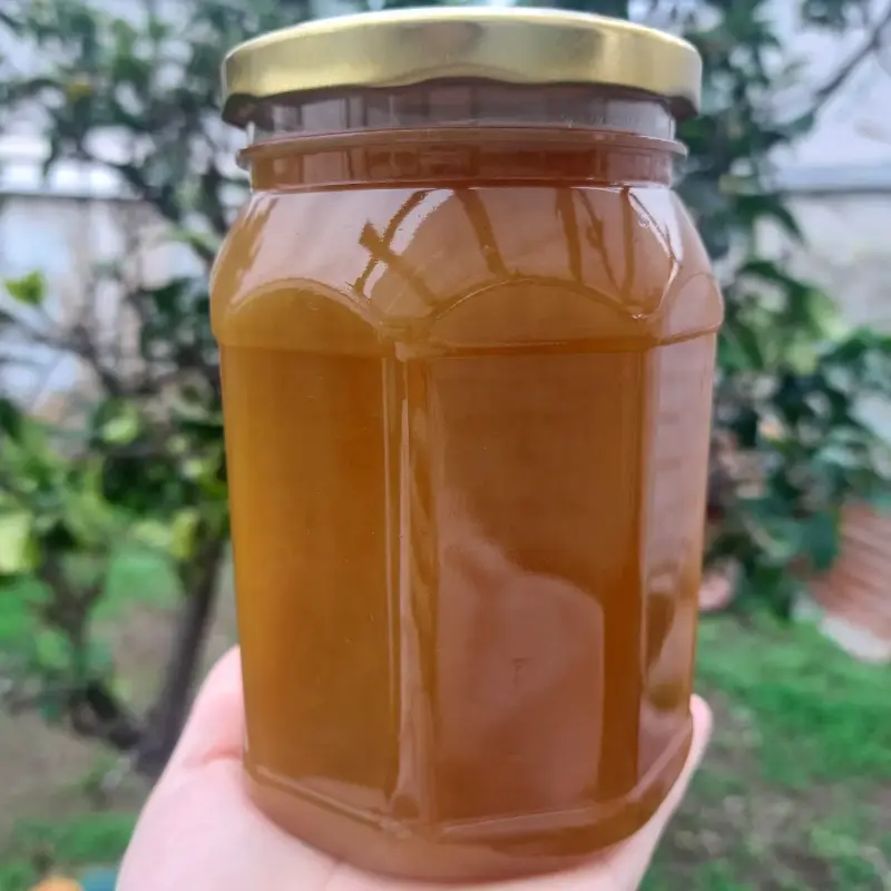 Miel 100% natural del Sur de Chile - 1