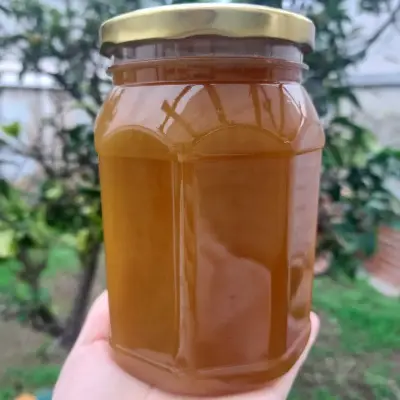 Miel 100% natural del Sur de Chile - miniatura 1