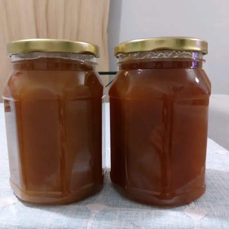 Miel 100% natural del Sur de Chile - 3