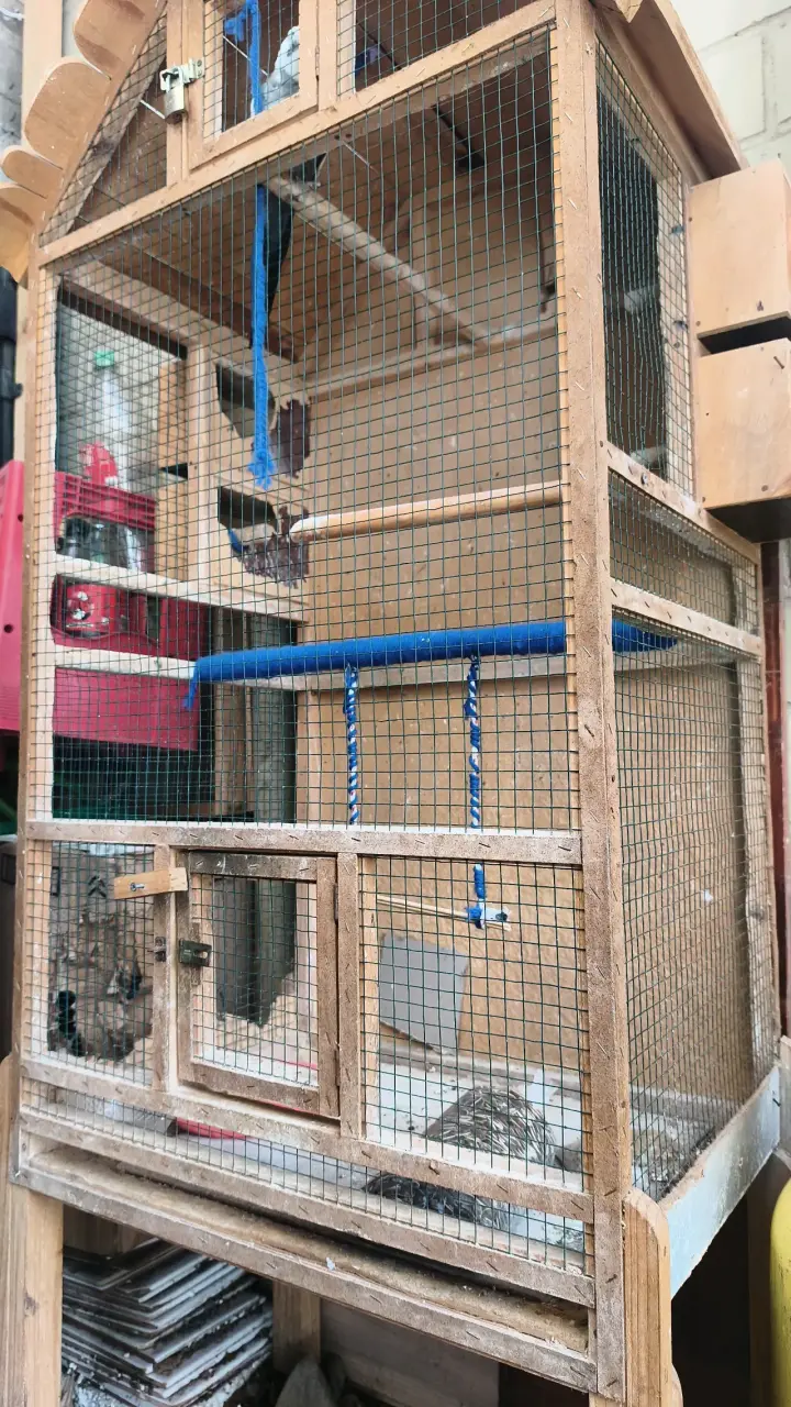 Jaula de madera para aves con perchas - 1