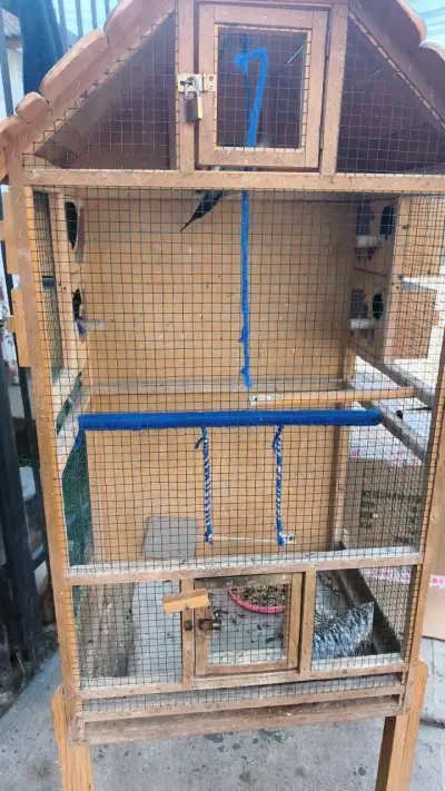 Jaula de madera para aves con perchas - miniatura 4