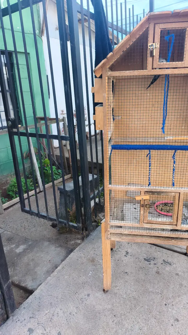 Jaula de madera para aves con perchas - 5