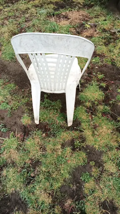 Silla plástica blanca para exterior - miniatura 2