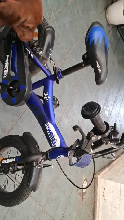 Bicicleta infantil Power Bike azul con frenos - miniatura 1