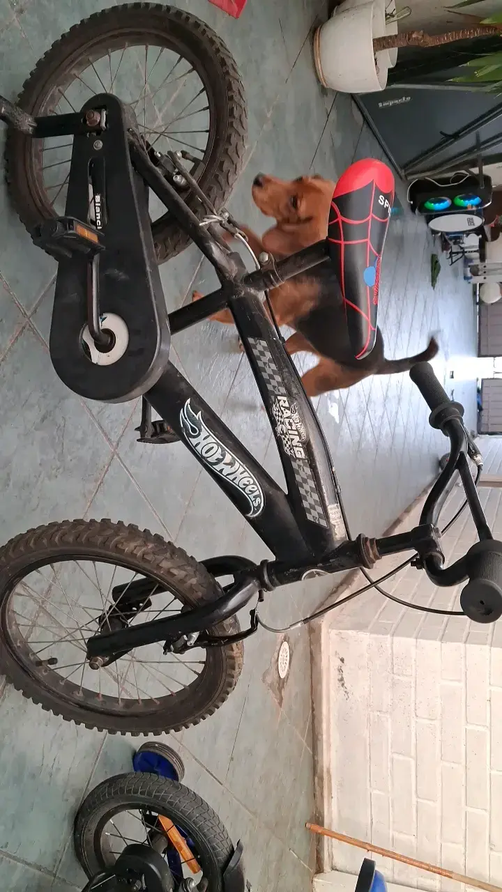Bicicleta infantil Hot Wheels negra - 1