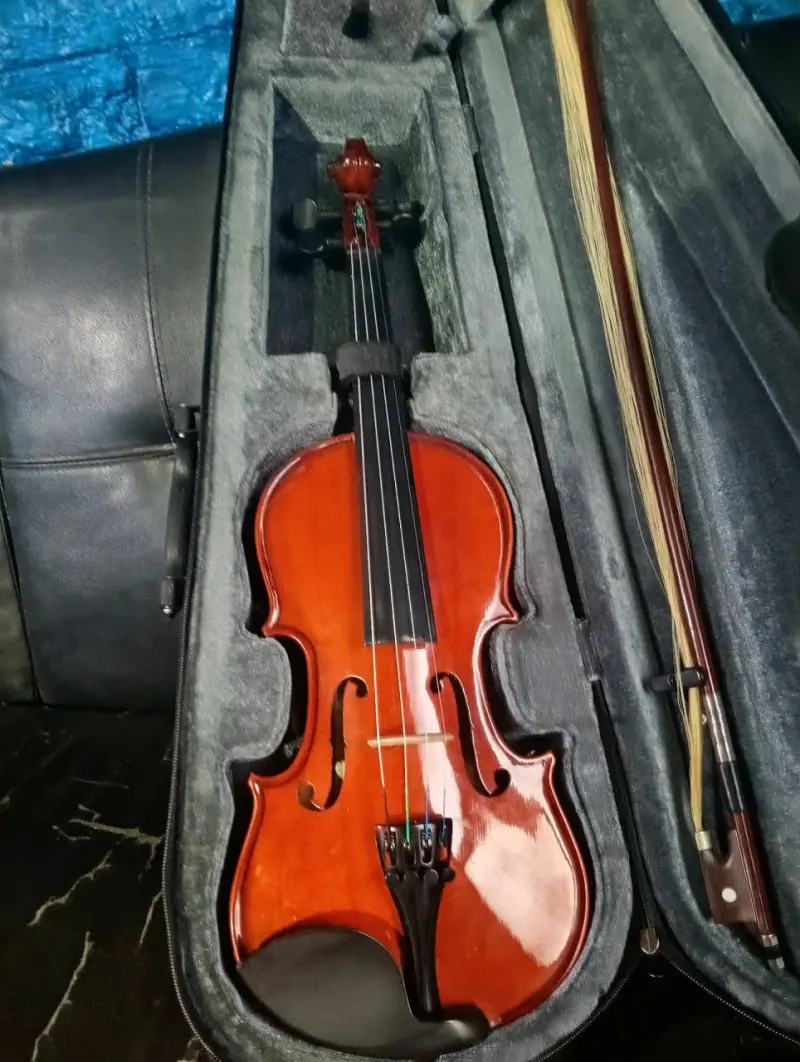 Violín con estuche rígido y arco - 1