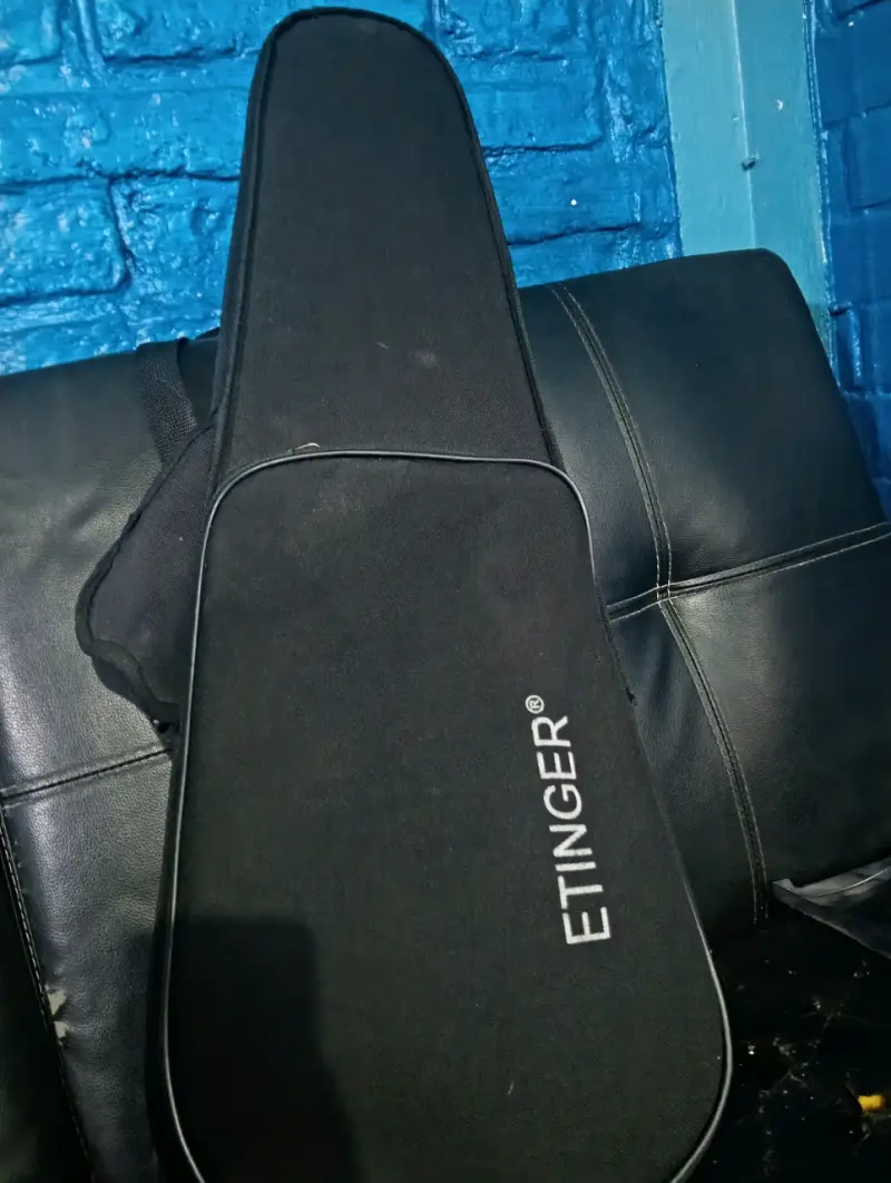 Violín con estuche rígido y arco - 2