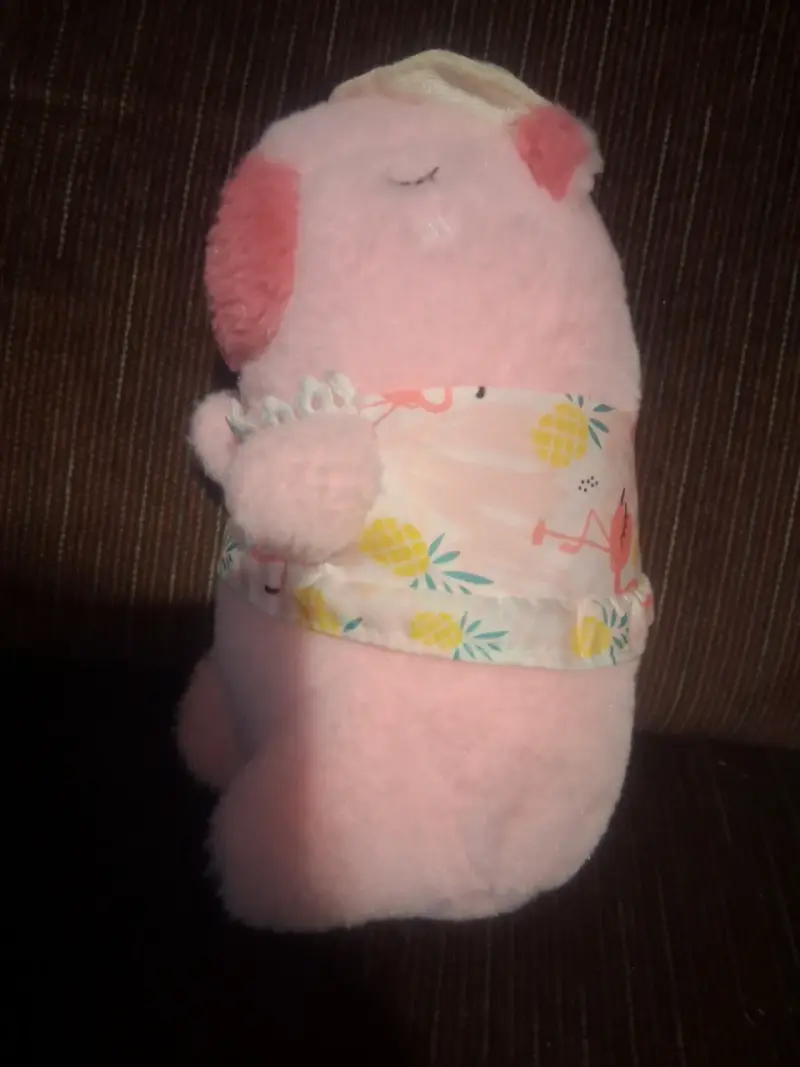 Peluche Capibara - 2