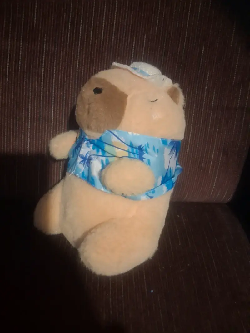 Peluche Capibara - 2