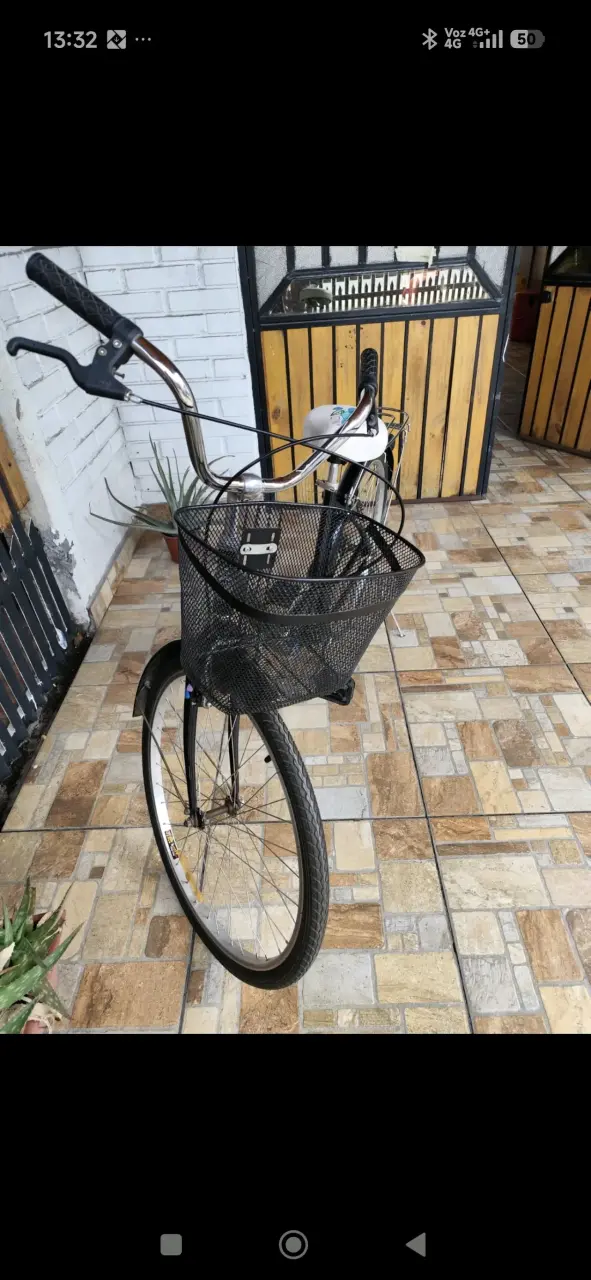 Bicicleta Oxford con Canasto Negro - 2