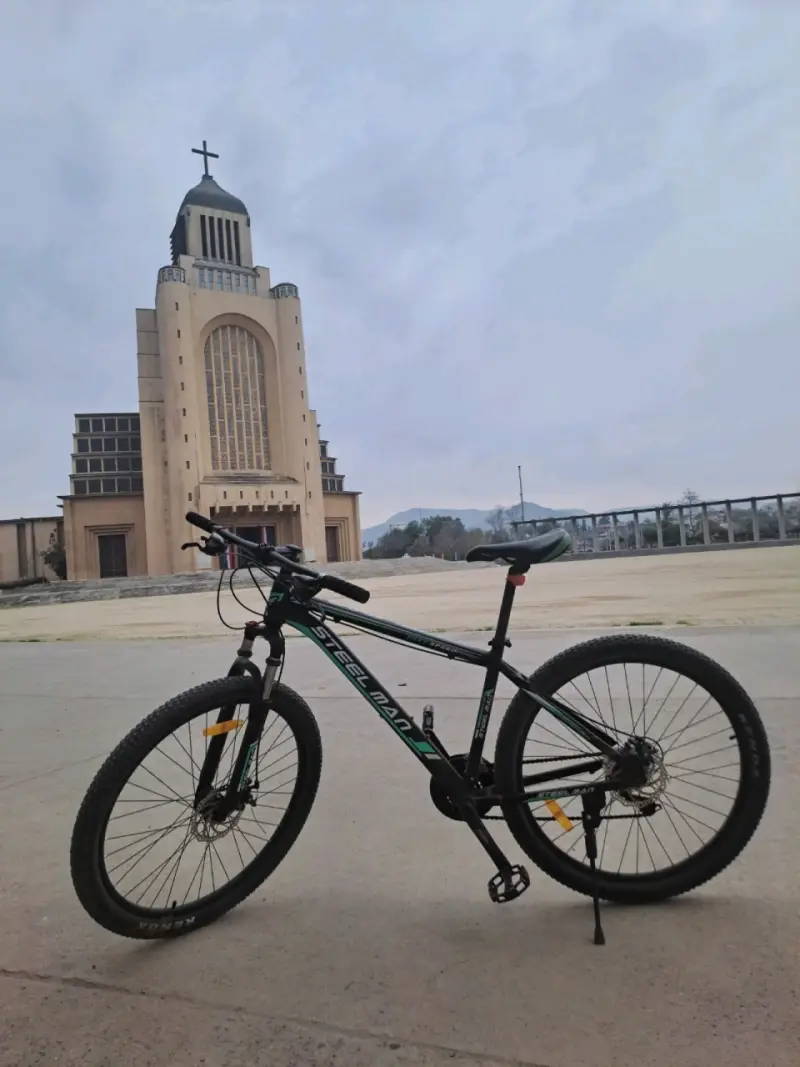 Bicicleta MTB Selman 29 pulgadas negra - 3