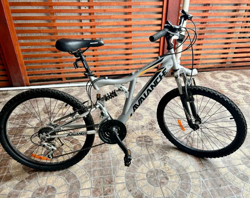 Bicicleta de montaña Avalanche gris con suspensión - 1