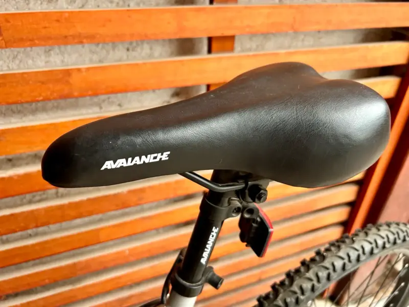 Bicicleta de montaña Avalanche gris con suspensión - 3