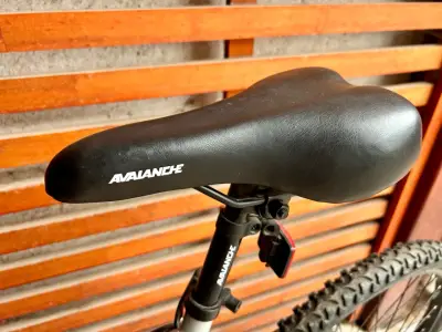 Bicicleta de montaña Avalanche gris con suspensión - miniatura 3