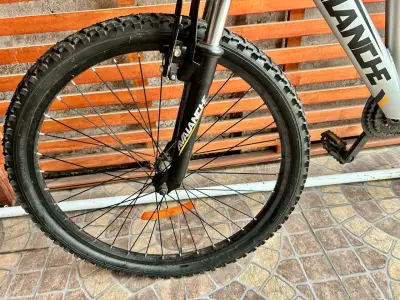 Bicicleta de montaña Avalanche gris con suspensión - miniatura 4