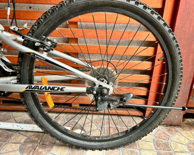 Bicicleta de montaña Avalanche gris con suspensión - 5