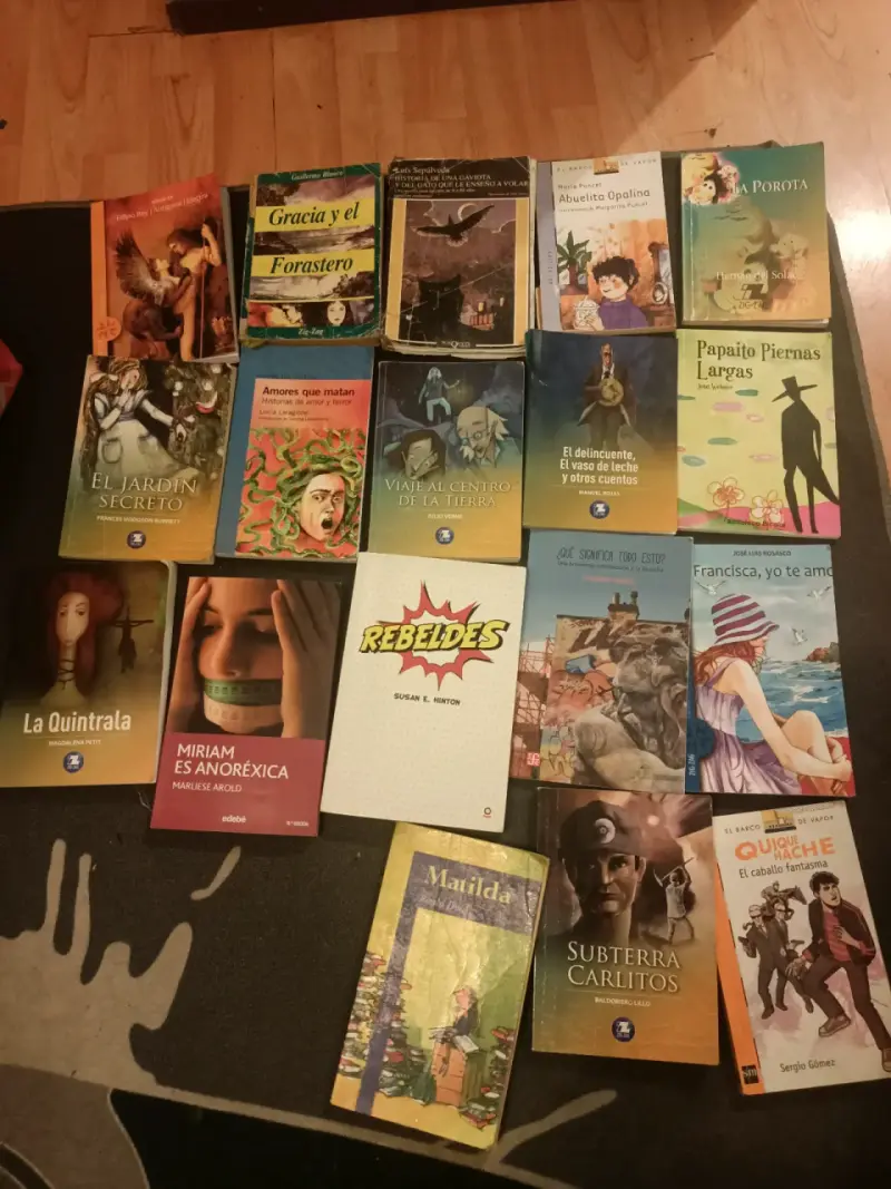 Lote de libros variados de literatura y cuentos
