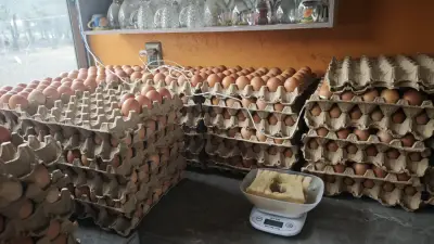 Huevos frescos de gallinas libres - miniatura 3
