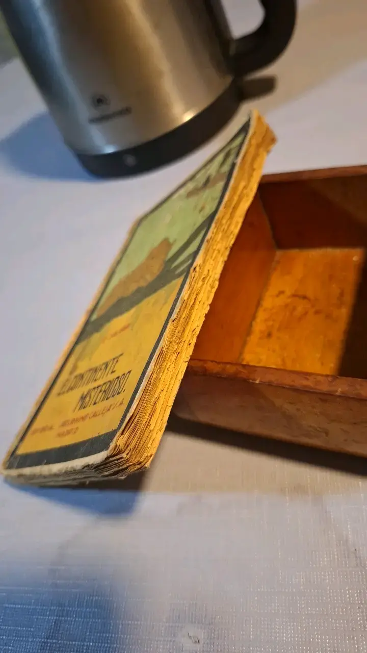 Libro antiguo 'El Continente Misterioso' de Emilio Salgari - 3