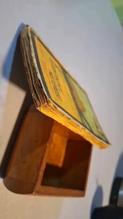 Libro antiguo 'El Continente Misterioso' de Emilio Salgari - miniatura 4