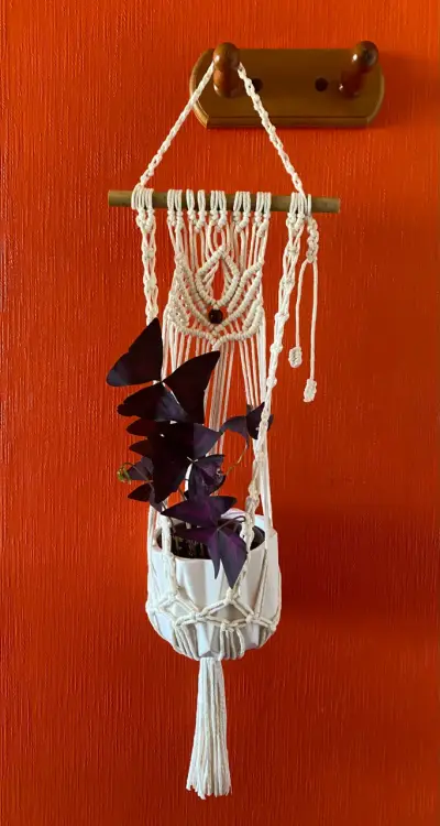 Colgador de macramé para plantas decorativo - miniatura 6