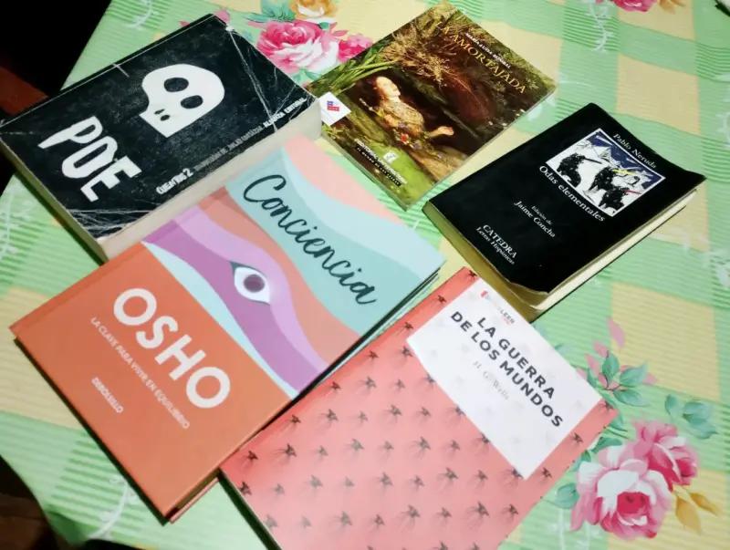 Lote de libros variados de autores reconocidos - 1