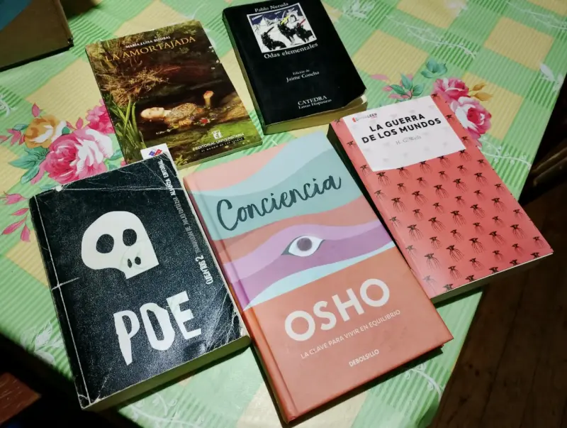 Lote de libros variados de autores reconocidos - 2