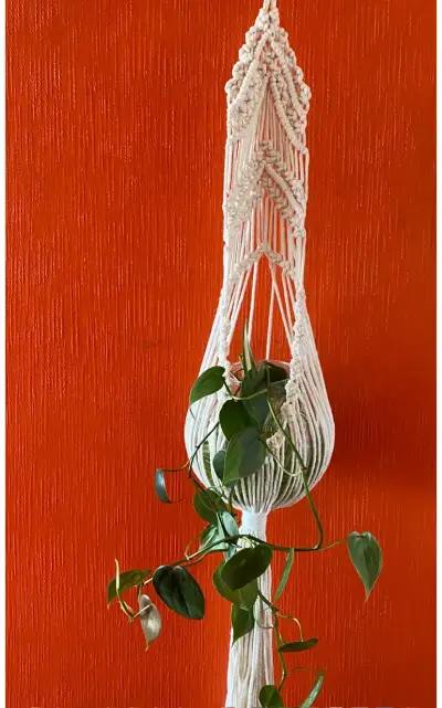 Colgador de macramé para plantas decorativo - miniatura 1