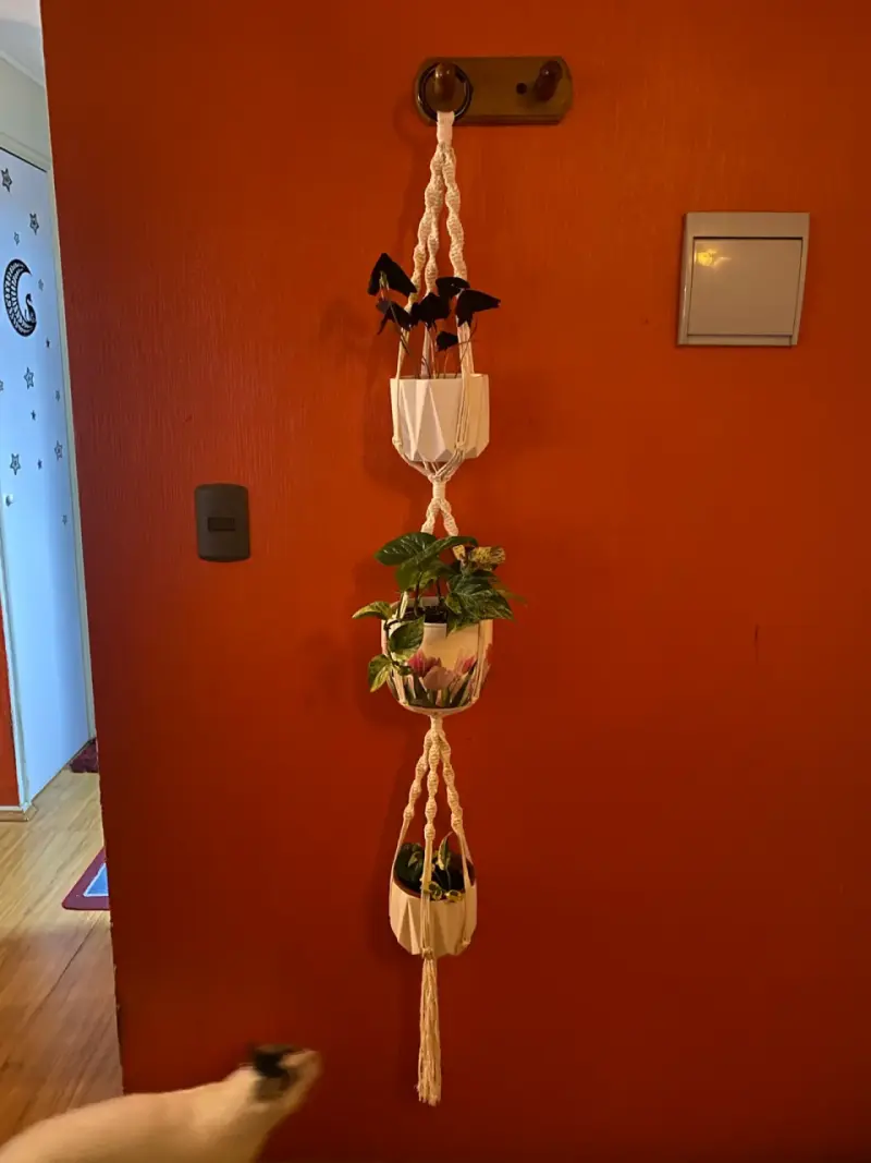 Colgador de Macramé para Plantas con Diseño de Corazón - 2