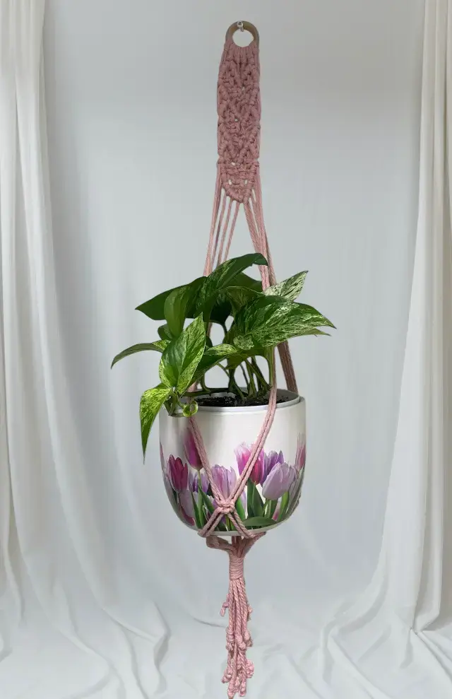 Colgador de Macramé para Plantas con Diseño de Corazón - 5