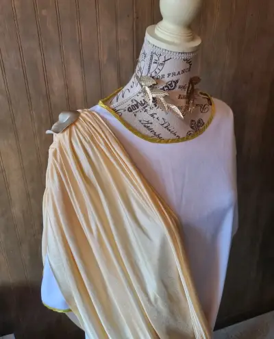 Disfraz de Toga Romana  con Detalles Dorados - miniatura 2