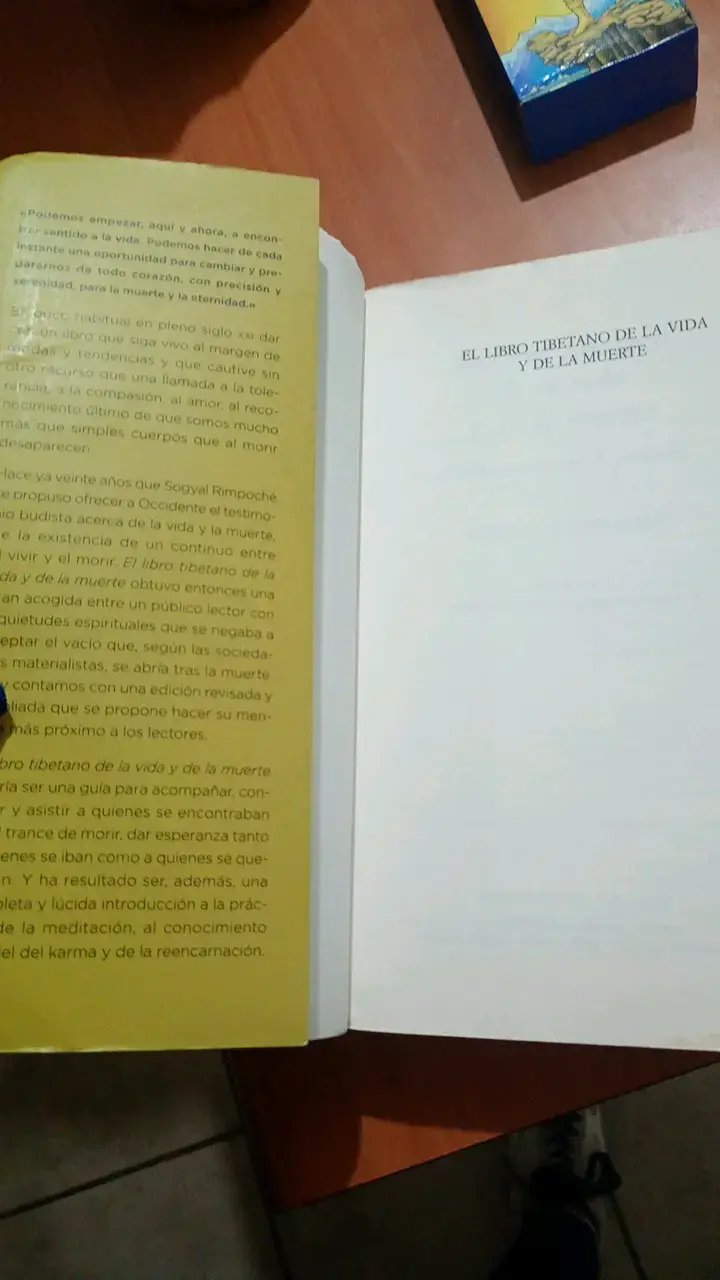 El Libro Tibetano de la Vida y de la Muerte - Sogyal Rimpoche - 2
