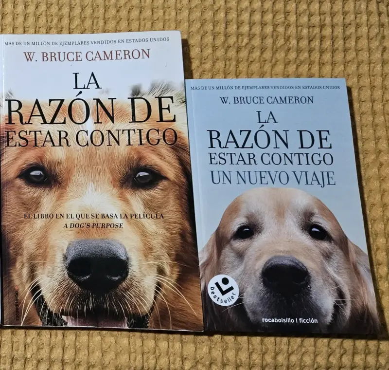 Colección de libros 'La Razón de Estar Contigo" - 2