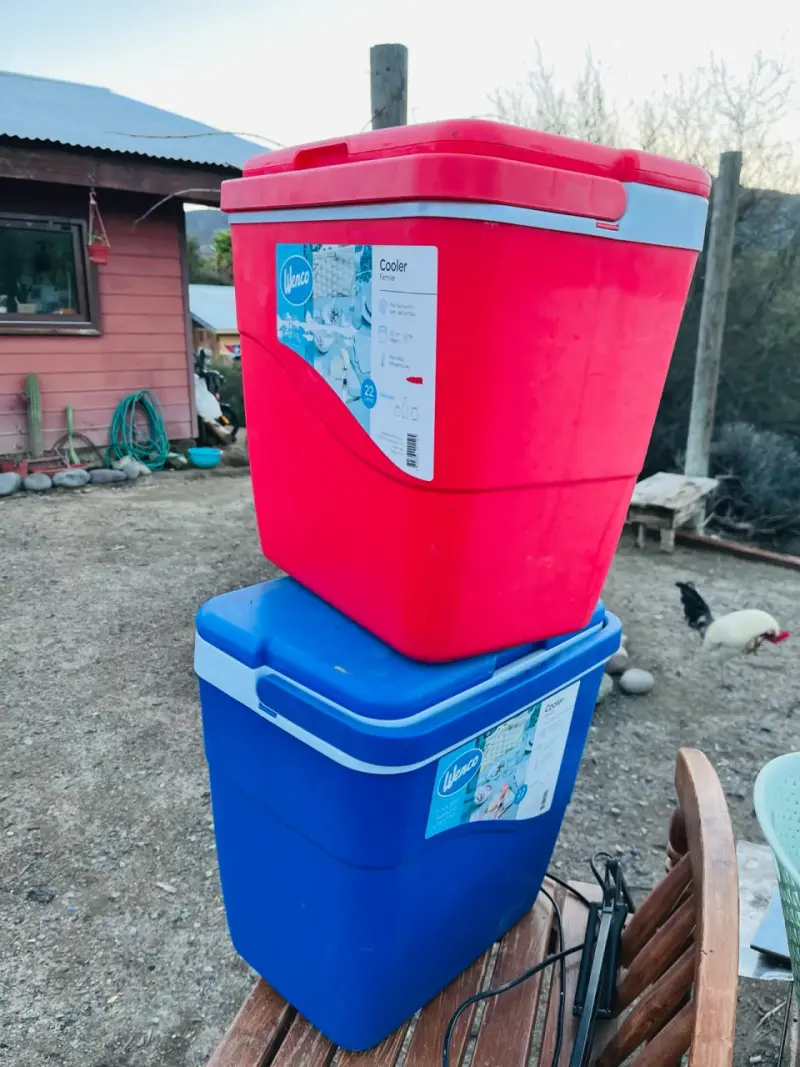 Cooler Wenco Familiar 22L Rojo y Azul - 1