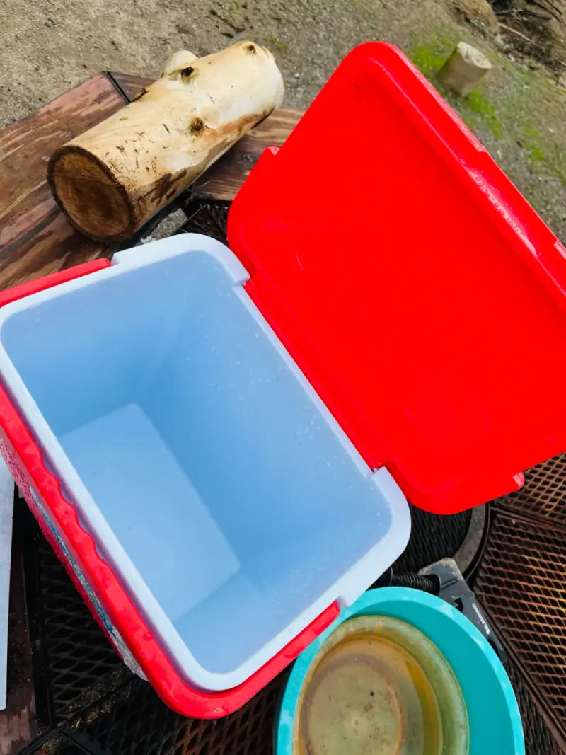 Cooler Wenco Familiar 22L Rojo y Azul - 3