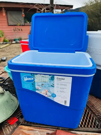 Cooler Wenco Familiar 22L Rojo y Azul - miniatura 5