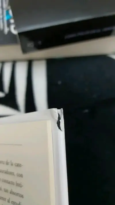 Libro 'El Año del Mono' de Patti Smith - miniatura 4